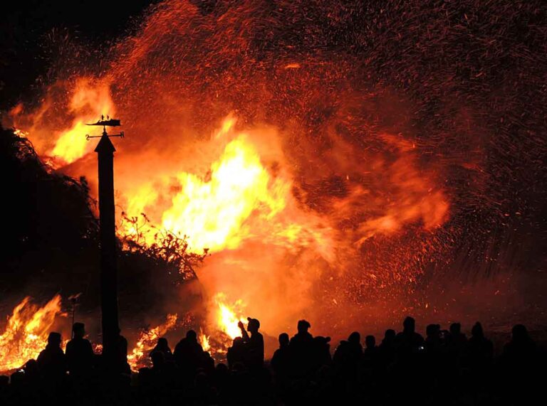 Fire in amazon